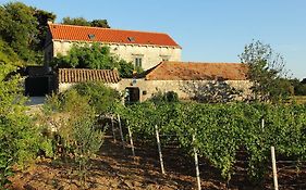Villa Violic
