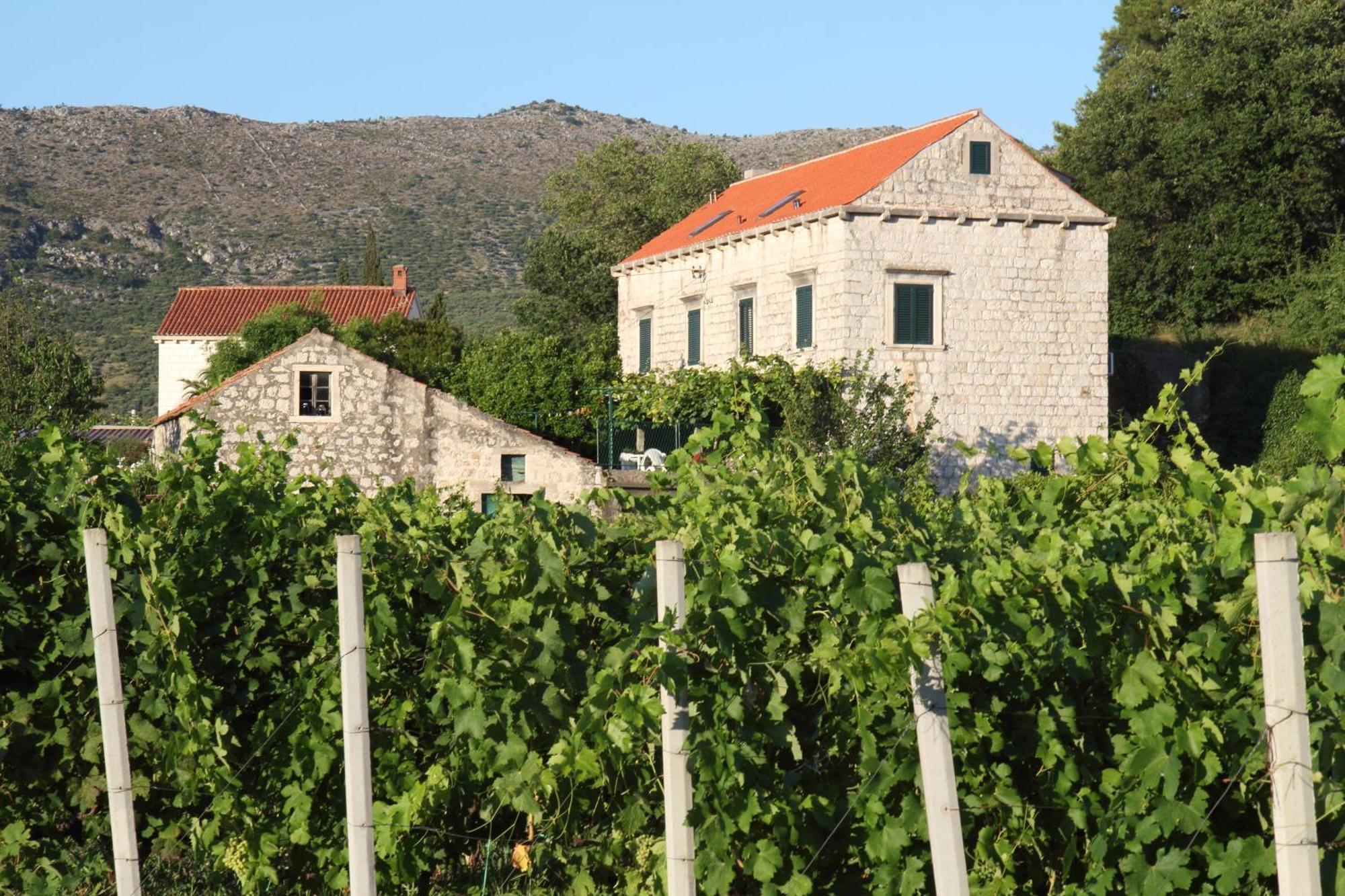 Villa Violic Zaton  Kültér fotó